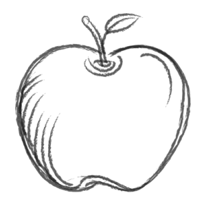 Teacher & Student Ratio